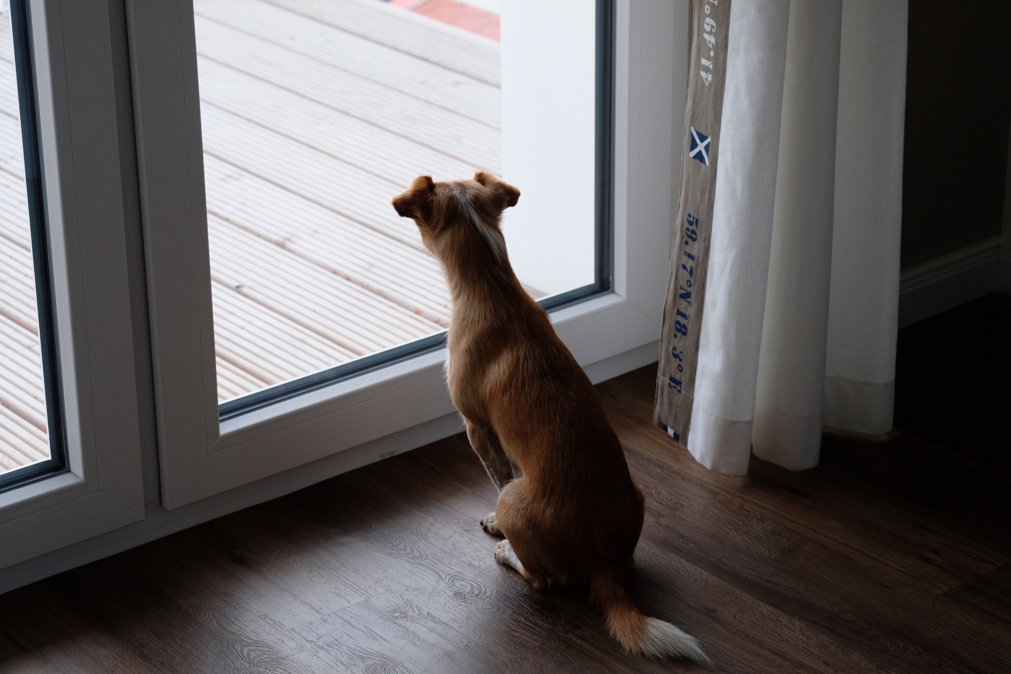 Heiligenhafen – die Vorbereitung