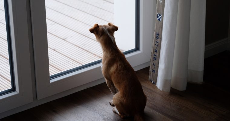 Heiligenhafen – die Vorbereitung