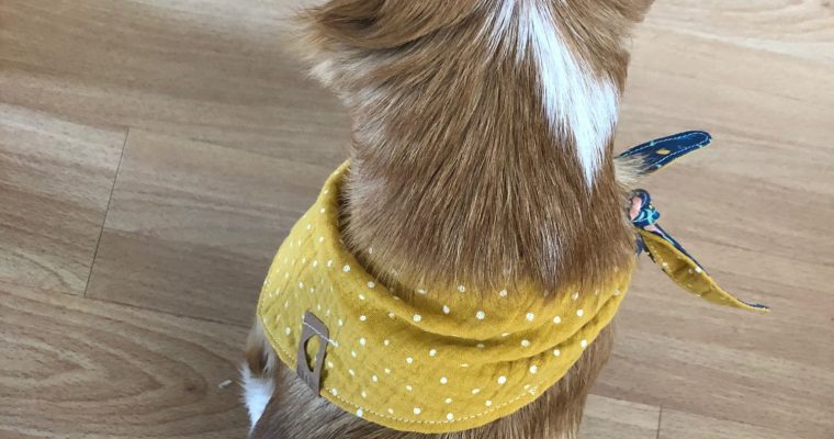 Gelb, gelb, gelb sind alle meine Kleider